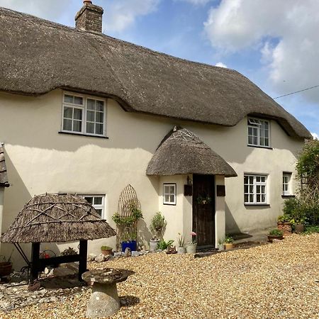 Guest Suite At 31 Little England Milborne Saint Andrew エクステリア 写真