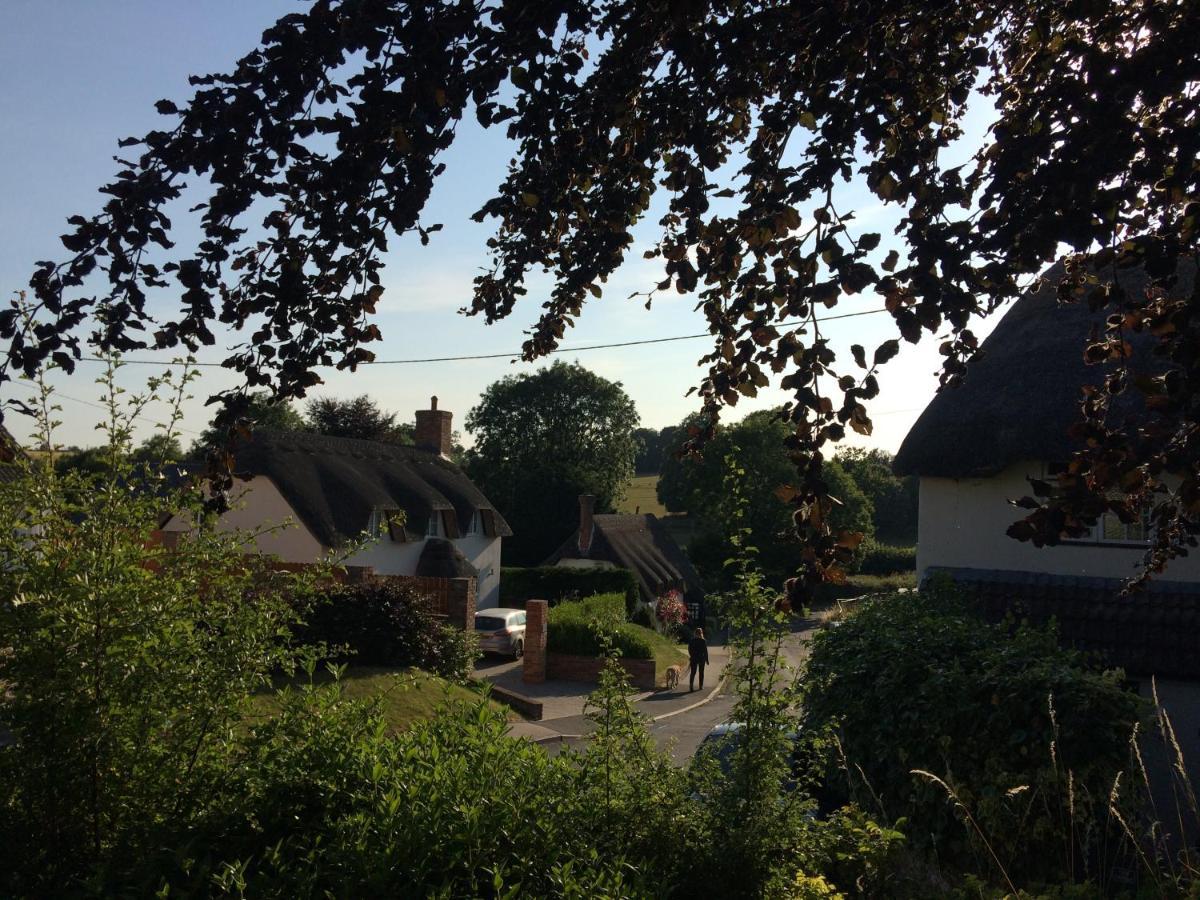 Guest Suite At 31 Little England Milborne Saint Andrew エクステリア 写真