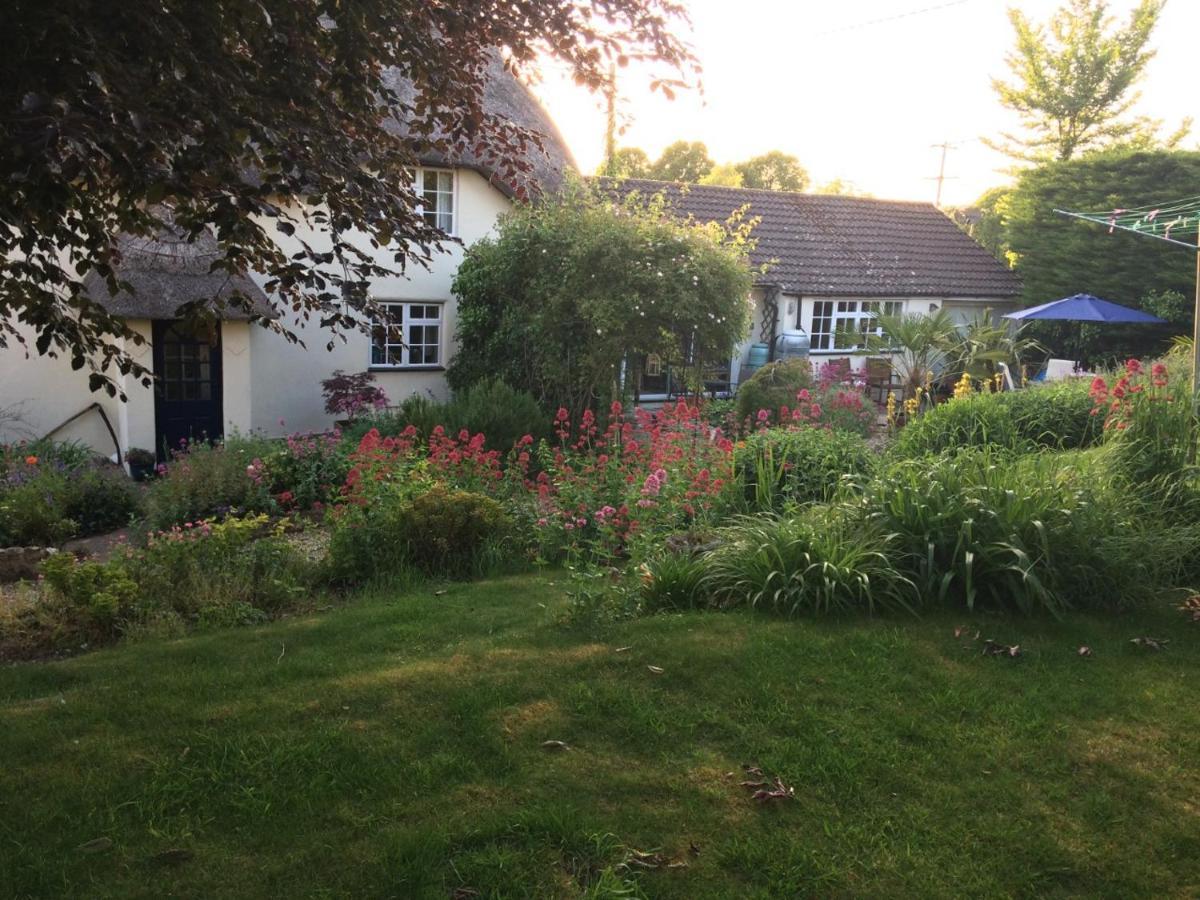 Guest Suite At 31 Little England Milborne Saint Andrew エクステリア 写真